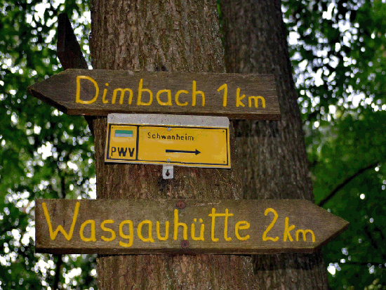 Wanderung Rimbachsteig 2016